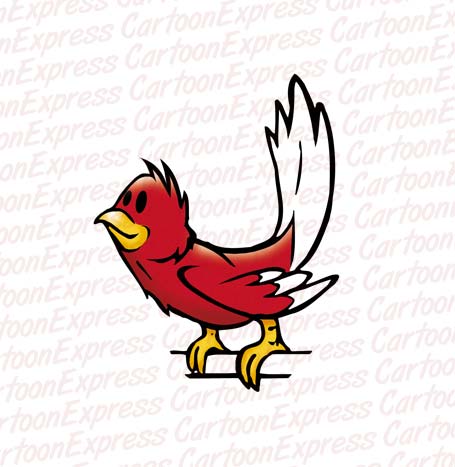 bird red robin